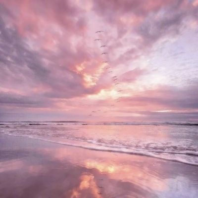 威尼斯欢乐娱人棋牌手机app下载截图